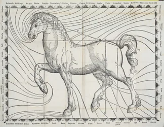 Diagramm der Aderlasspunkte an einem Pferd aus einem frühen Buch über Pferdehaltung, 1570